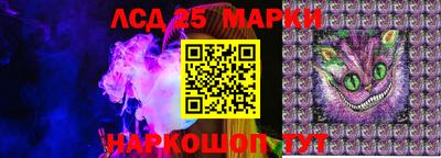 крисы Беслан