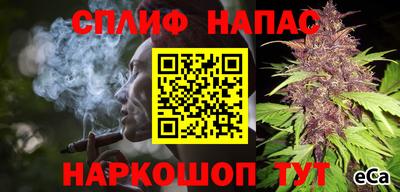 крисы Беслан