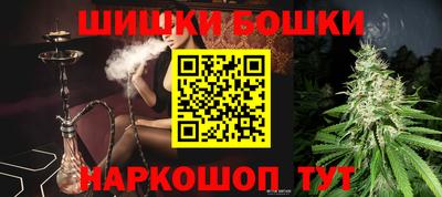 крисы Беслан